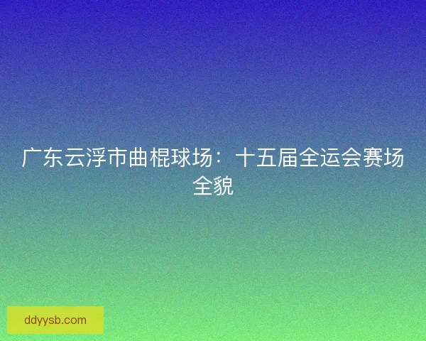 广东云浮市曲棍球场：十五届全运会赛场全貌